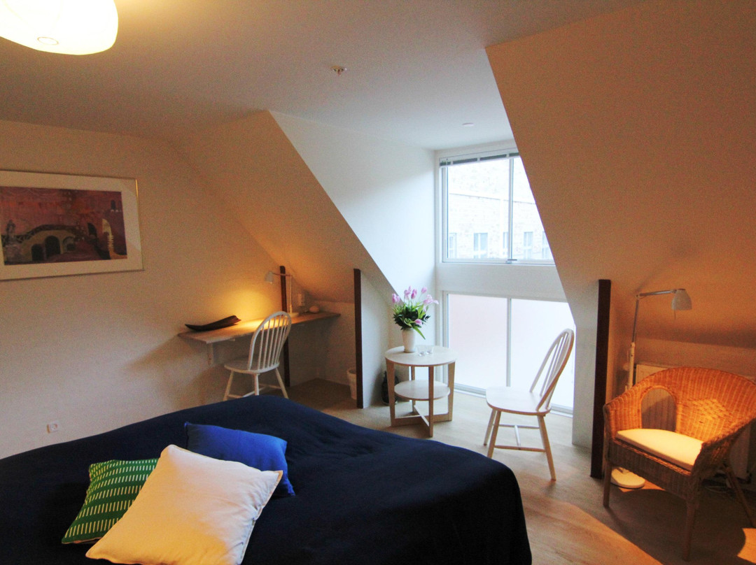 Odense City B&B主图