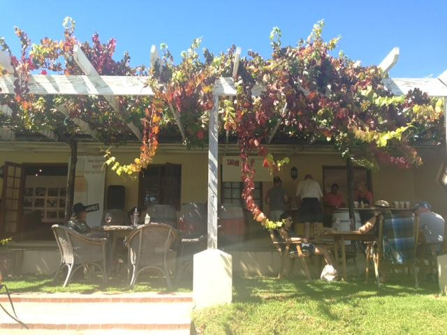 Lynx Wine-法兰舒克必去景点