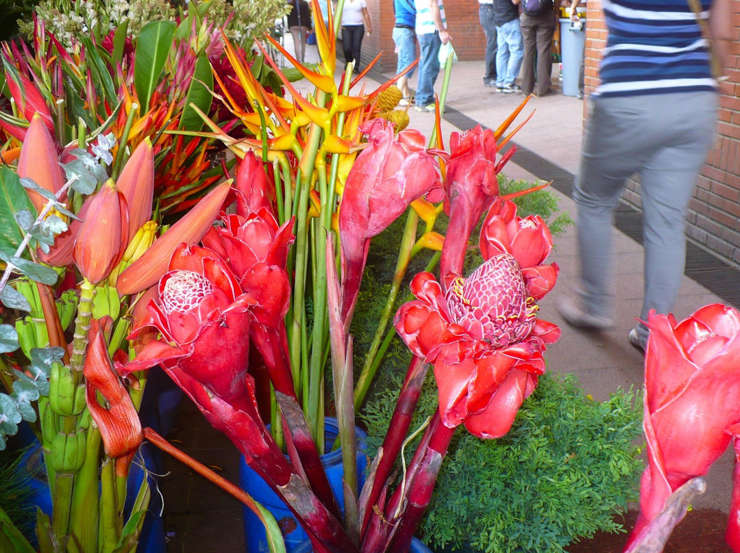 Mercado Municipal de Chacao-加拉加斯必去景点