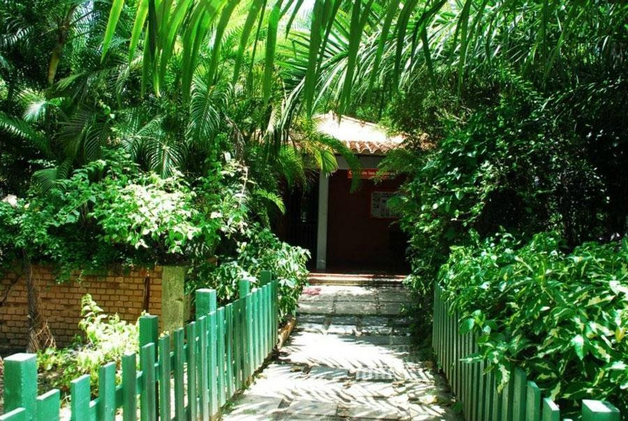 Parque Tematico Bosque Macuto景点图片