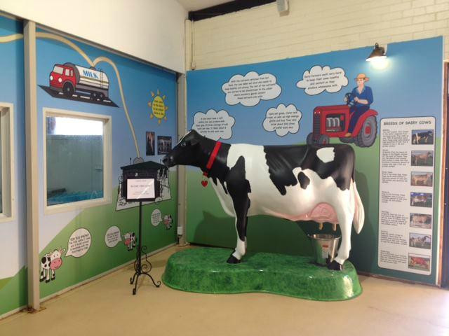 Denman旅游景点-Hunter Belle Cheese