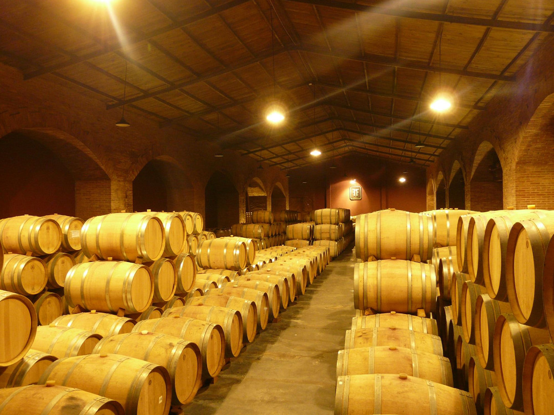 Bodega Finca Flichman-Maipu必去景点