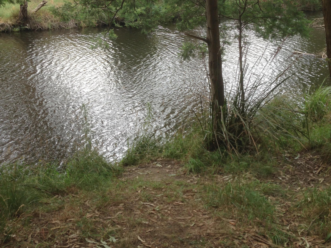 Agnes Falls-Hazel Park必去景点