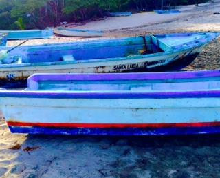 Pink Sand Tours-诺萨拉必去景点