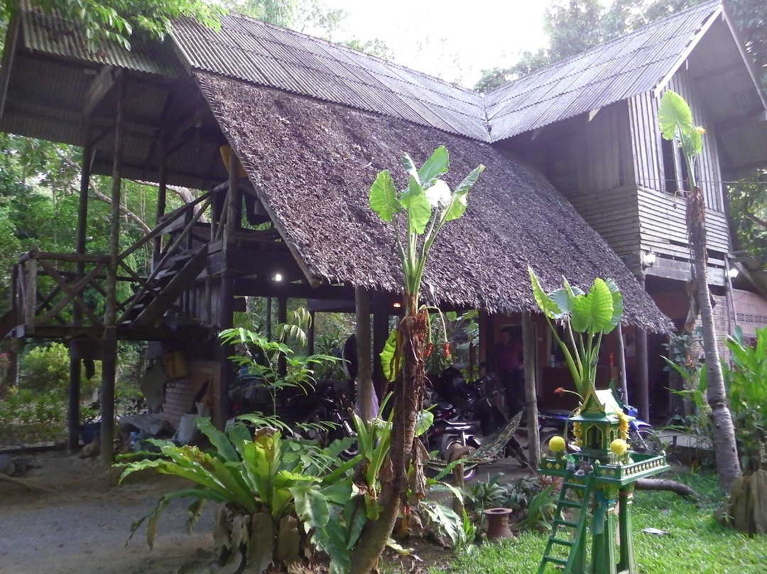 Khao Sok Valley Lodge