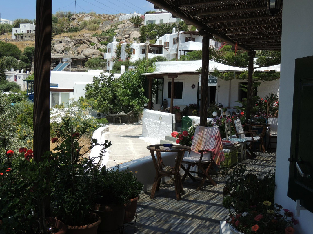 Studios Flora Manos