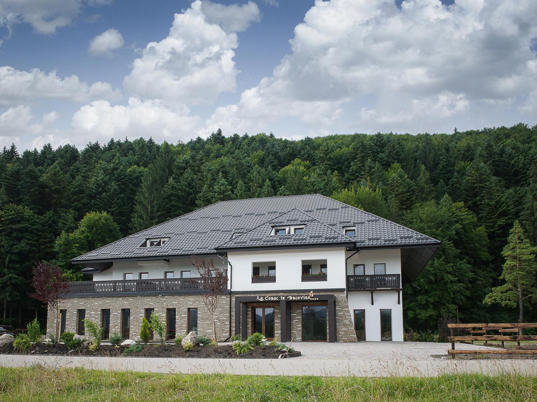 Gura Humorului酒店住宿-La Conac in Bucovina