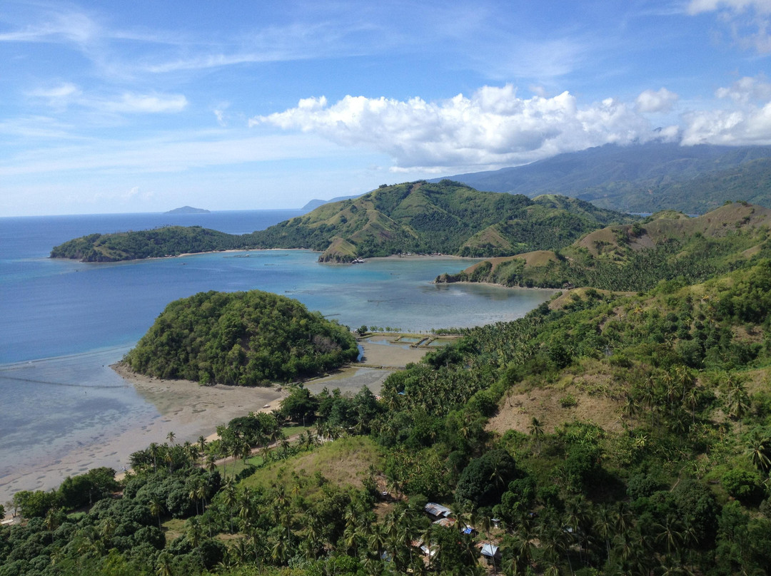 Sleeping Dinosaur Island景点图片