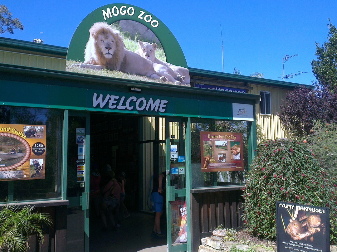 Mogo Wildlife Park景点图片