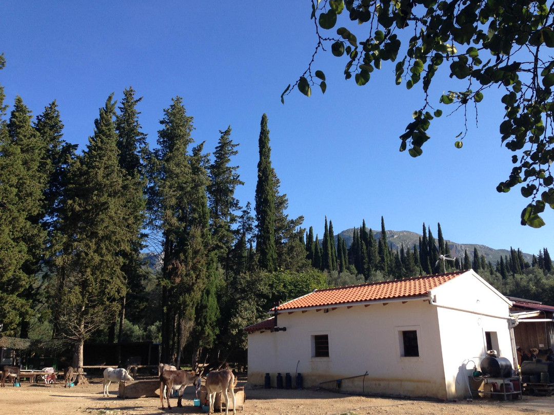 Corfu Donkey Rescue景点图片