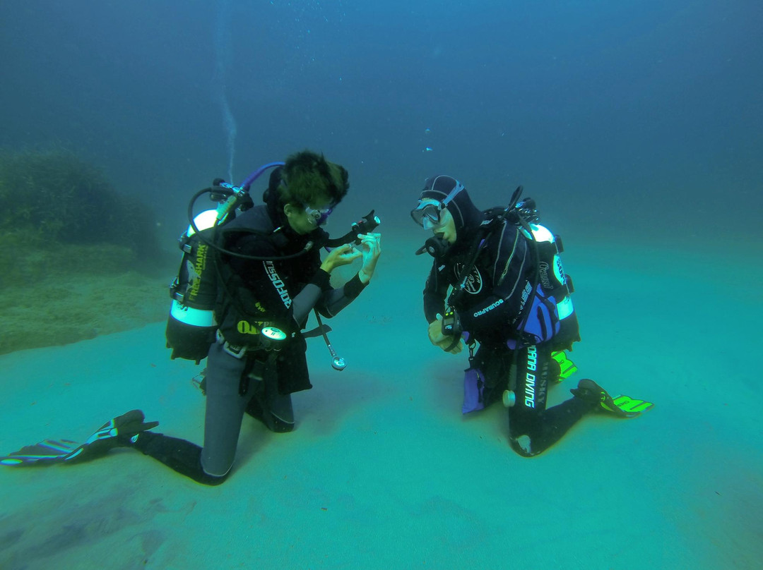 Shardana Diving Center-Calasetta必去景点