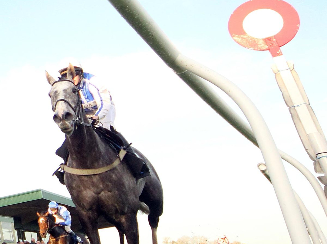 Kelso Races-凯尔索必去景点