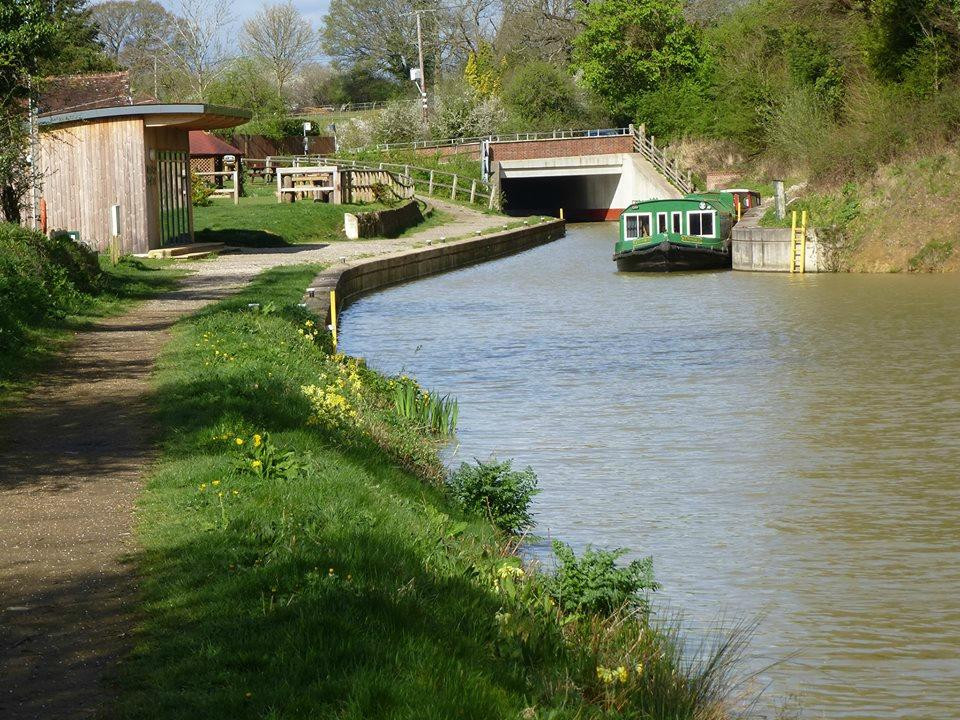Wey & Arun Canal Trust景点图片