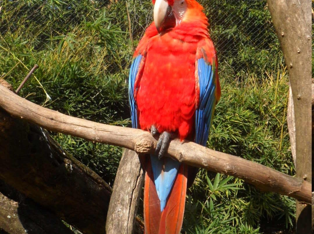 Gramadozoo-格拉玛多必去景点