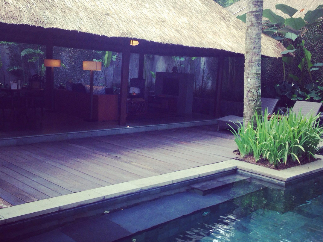 乌布肉桂水疗-乌布必去景点