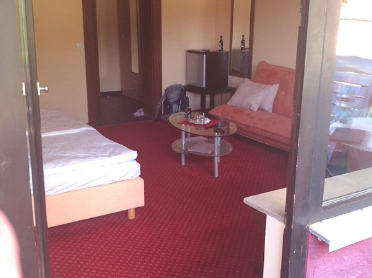 Panoramahotel Berghof主图