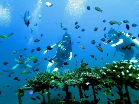 Joe's Gone Diving-沙努尔必去景点