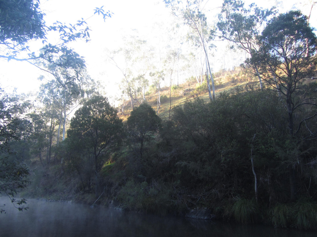 Buckle Up Bushrides-Merrijig必去景点