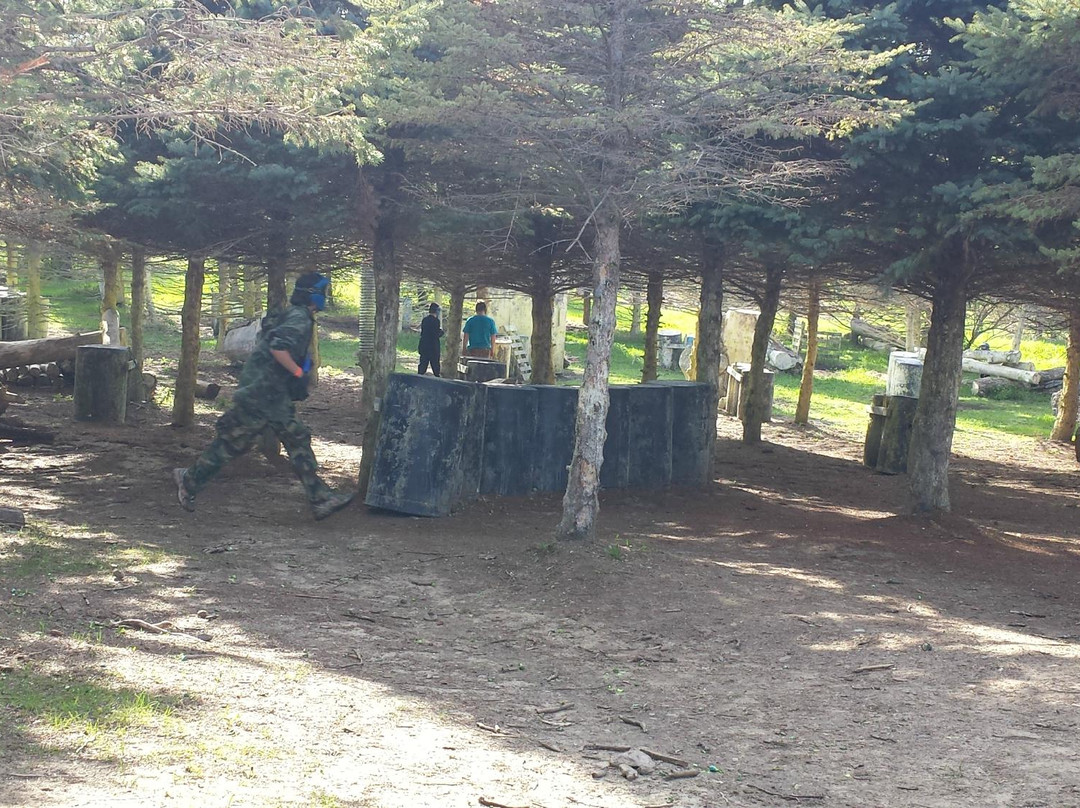 MN Pro Paintball-Lakeville必去景点