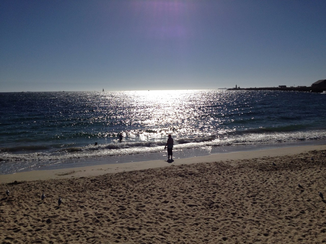 Port Beach-弗里曼特尔必去景点