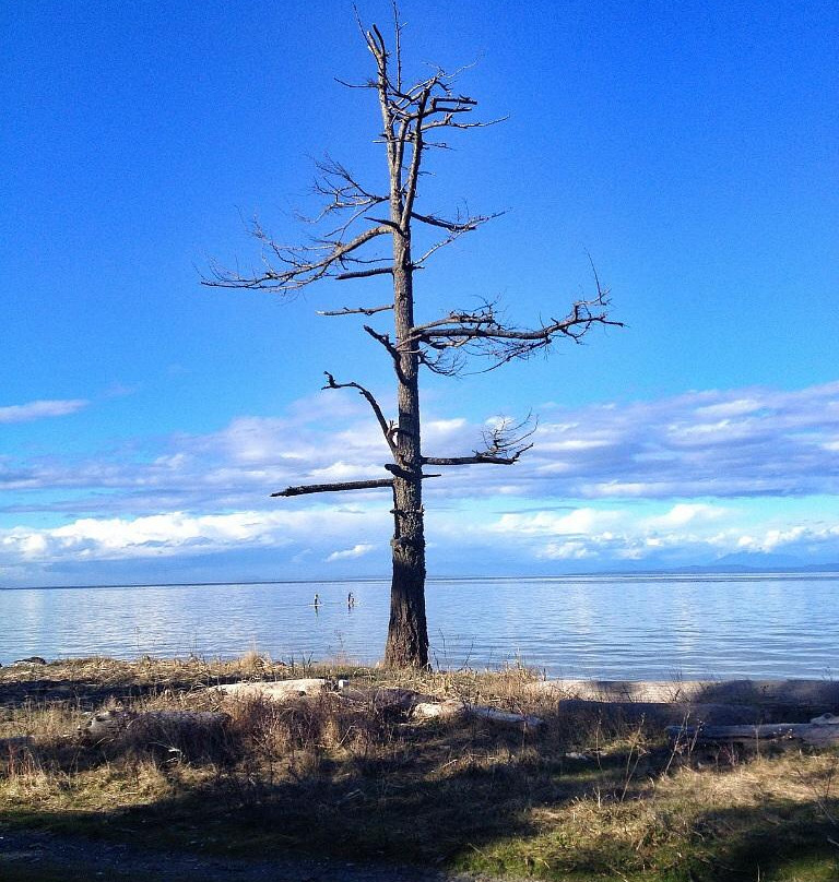 Kin Beach Provincial Park景点图片