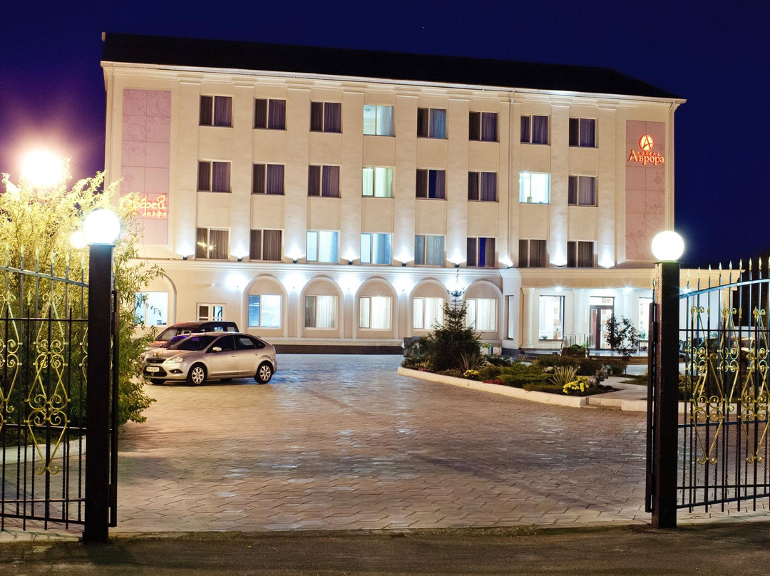 Konstantinovka酒店住宿-Aurora