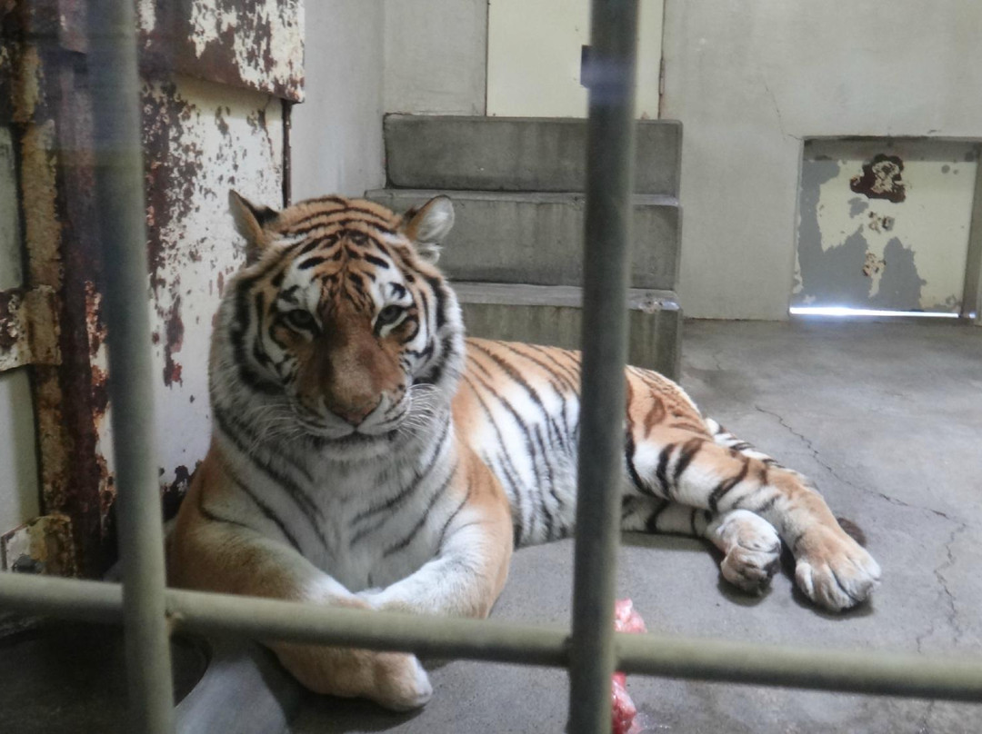 Kushiro City Zoo-钏路市必去景点