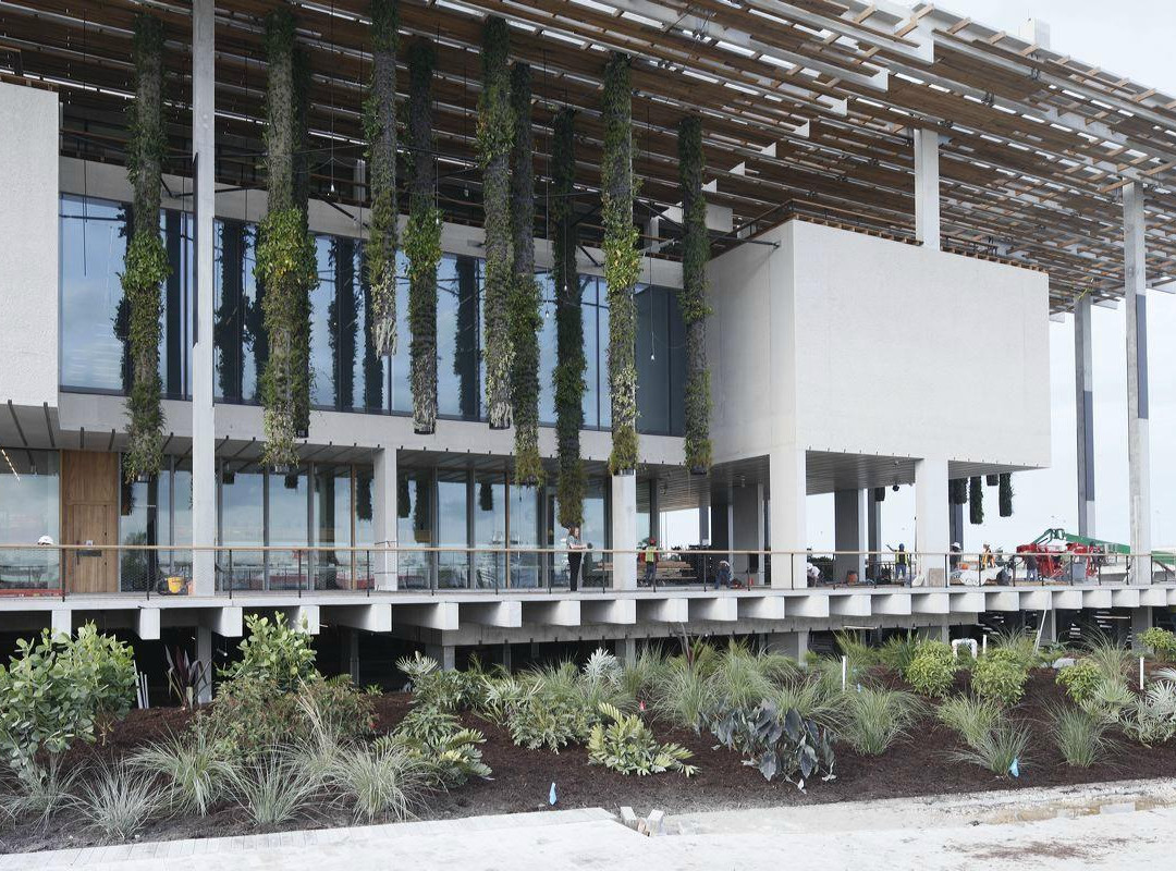 迈阿密佩雷兹美术馆-迈阿密必去景点