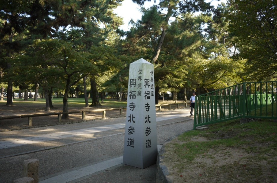 奈良公园-奈良市必去景点