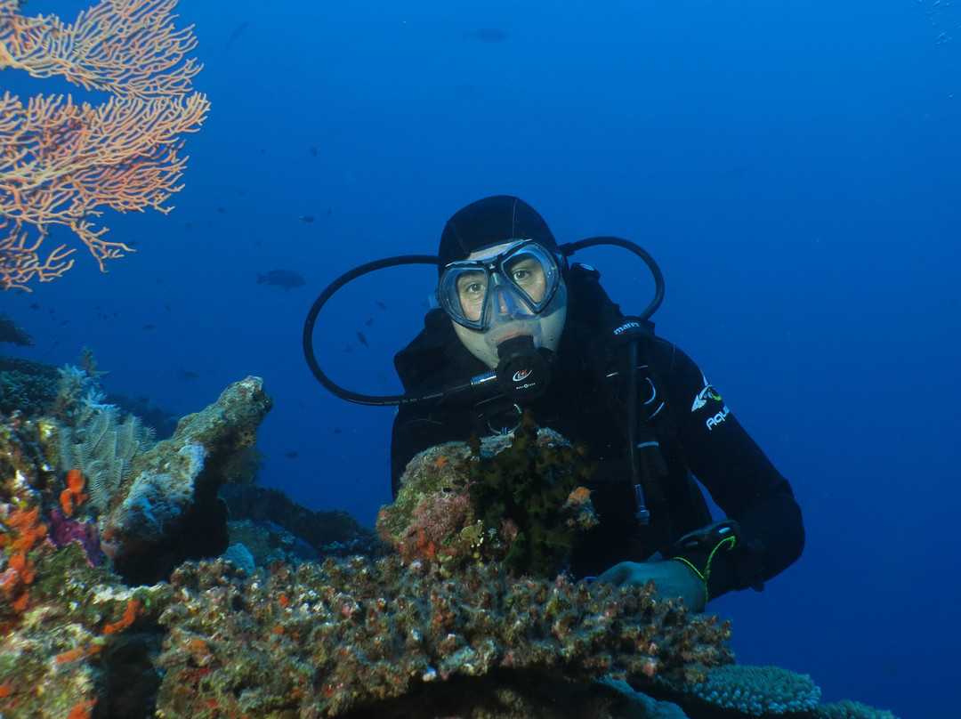 Reve Bleu Caledonie-Koumac必去景点