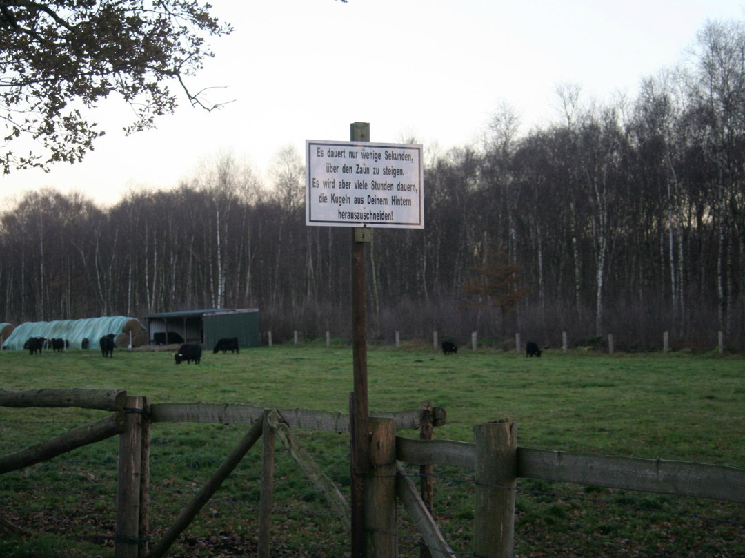 Moor bei Niedersandhausen-Osterholz-Scharmbeck必去景点