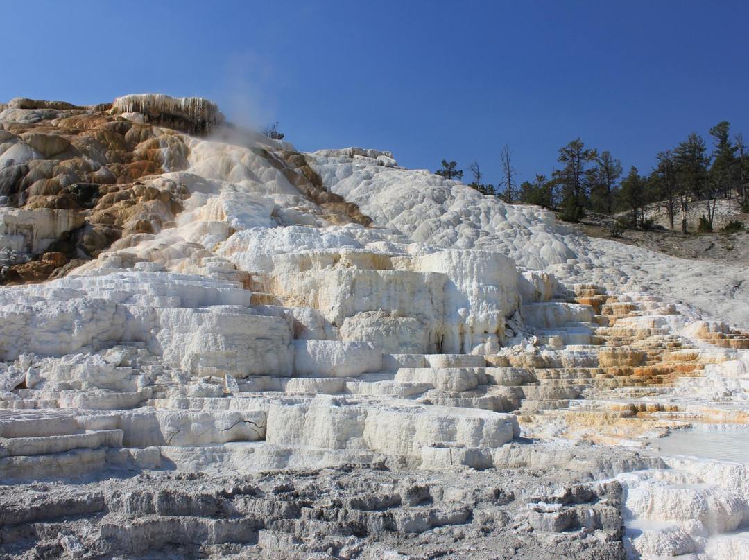 猛犸象温泉-黄石国家公园必去景点