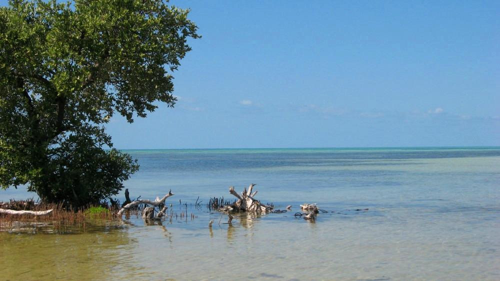 Blue Sky Charter Company LLC - Tours-基韦斯特必去景点