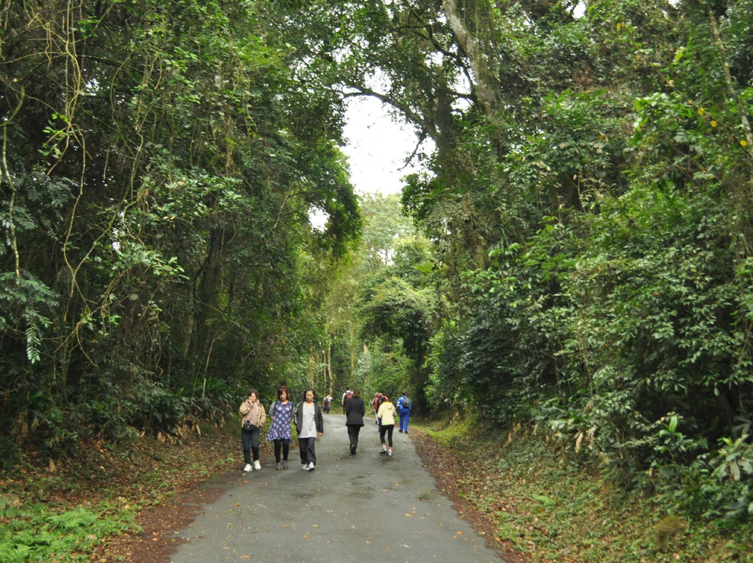 Parque Estadual Cantareira - Núcleo Pedra Grande-圣保罗必去景点