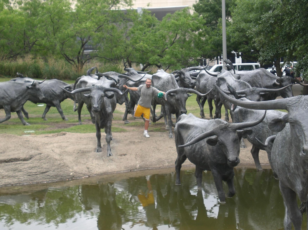 Dallas Cattle Drive Sculptures-达拉斯必去景点