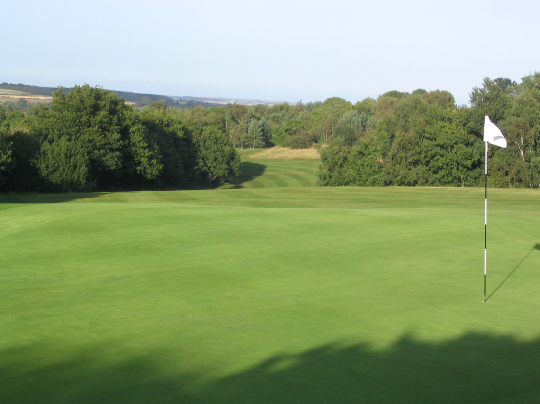 South Moor Golf Club景点图片