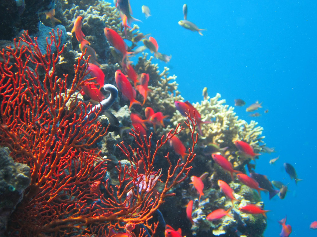 西巴厘岛国家公园-巴厘岛必去景点