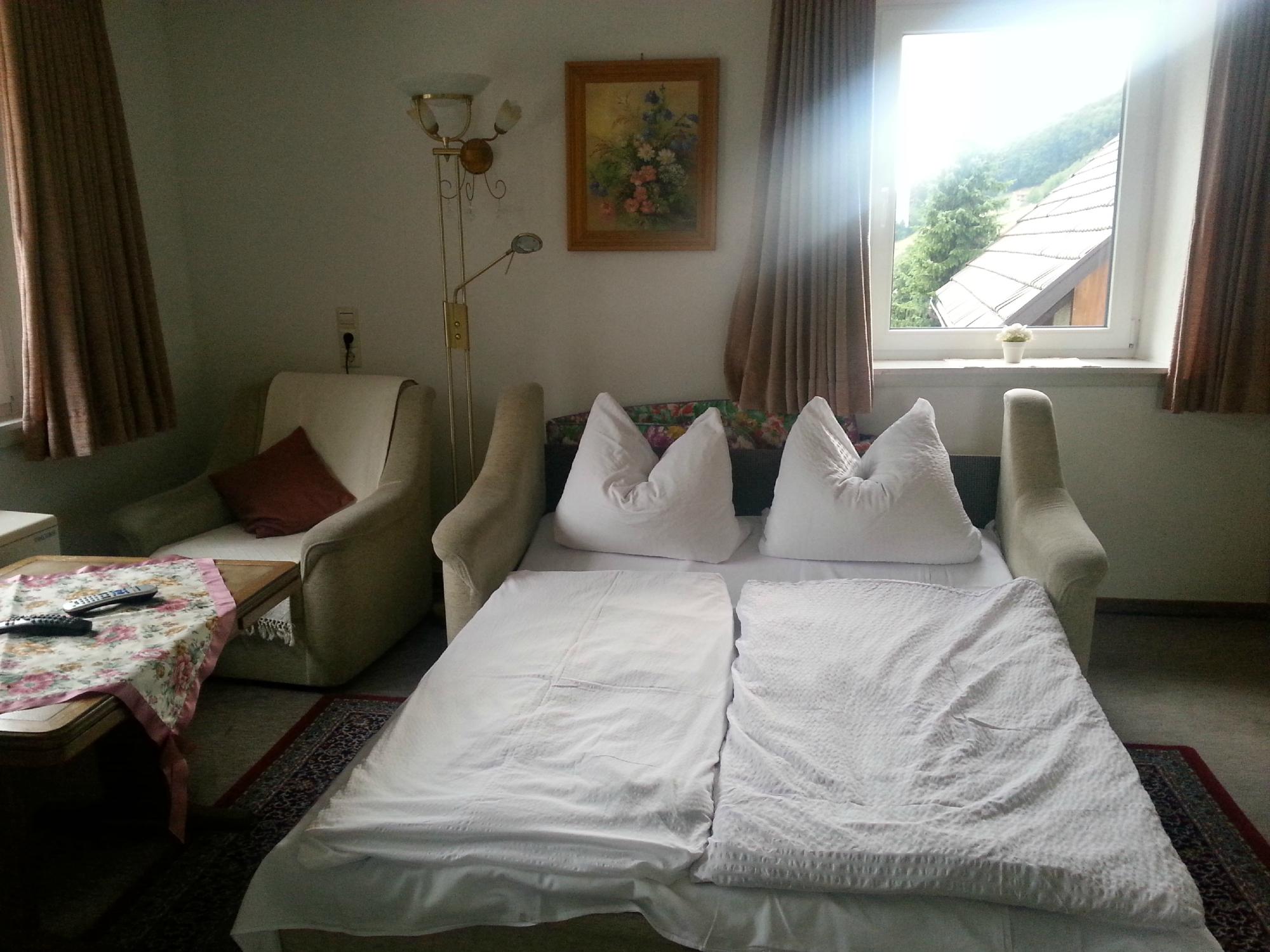 Haus Dorfschmiede-酒店景观