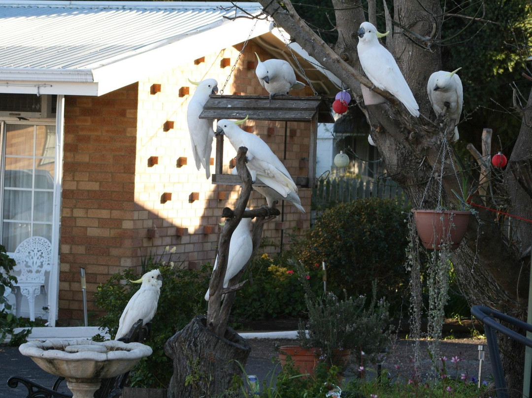 Colonial Motor Lodge主图