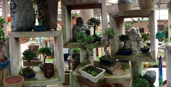 The Garden Gallery景点图片