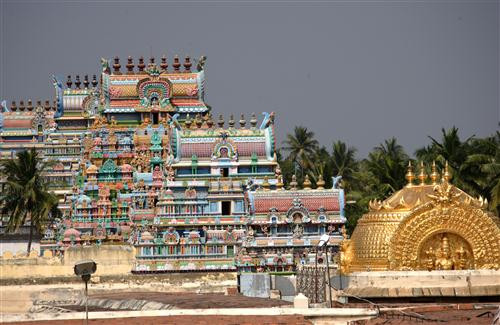 South India Tours and Travels景点图片