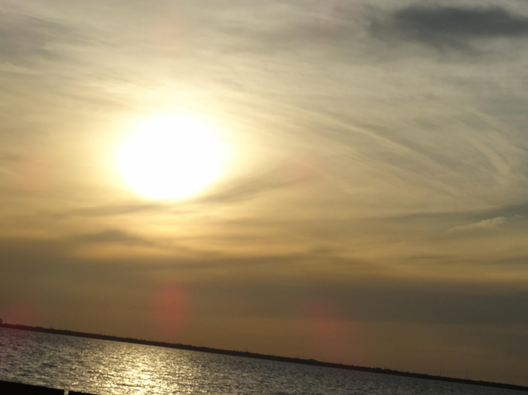 外伯城-坦帕必去景点