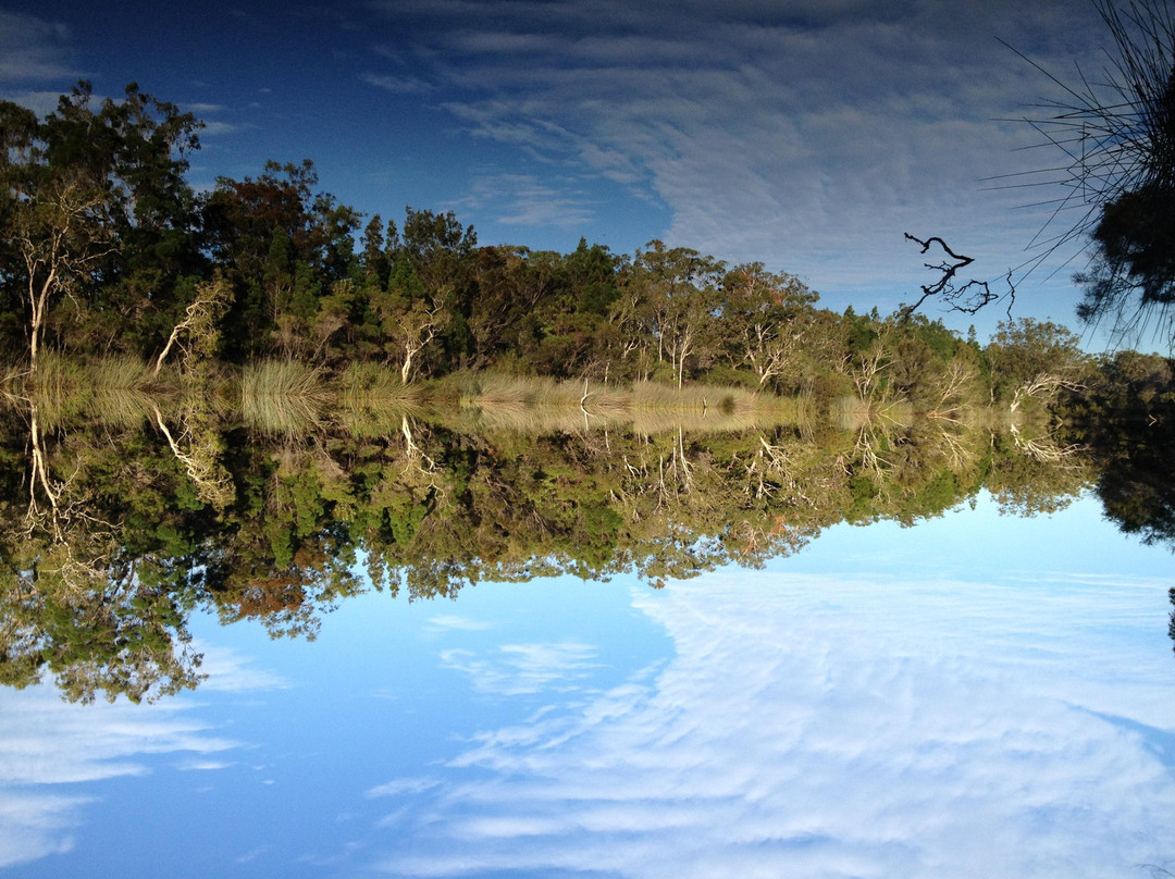 Kanu Kapers Australia Noosa Everglades Kayak Day Tours-努沙必去景点