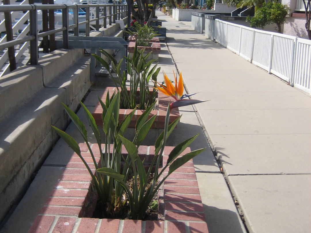 那不勒斯岛-长滩必去景点