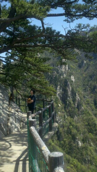 老界岭-西峡县必去景点