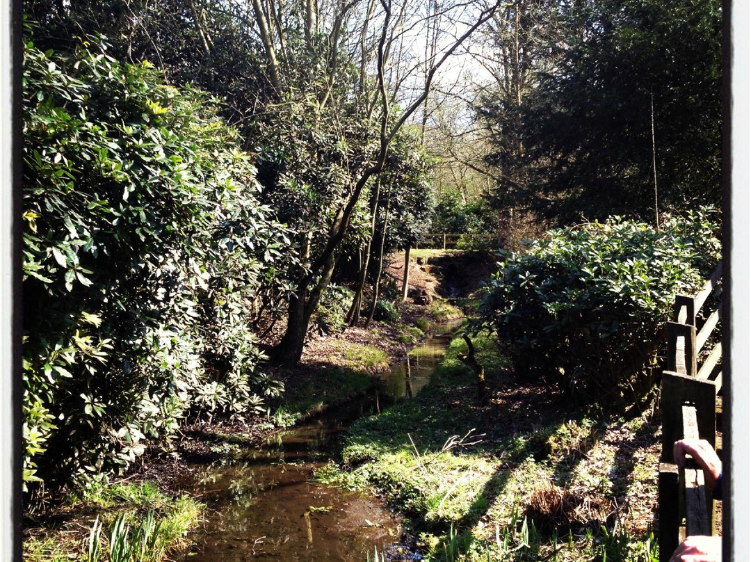 Norton Priory Museum and Gardens-朗科恩必去景点