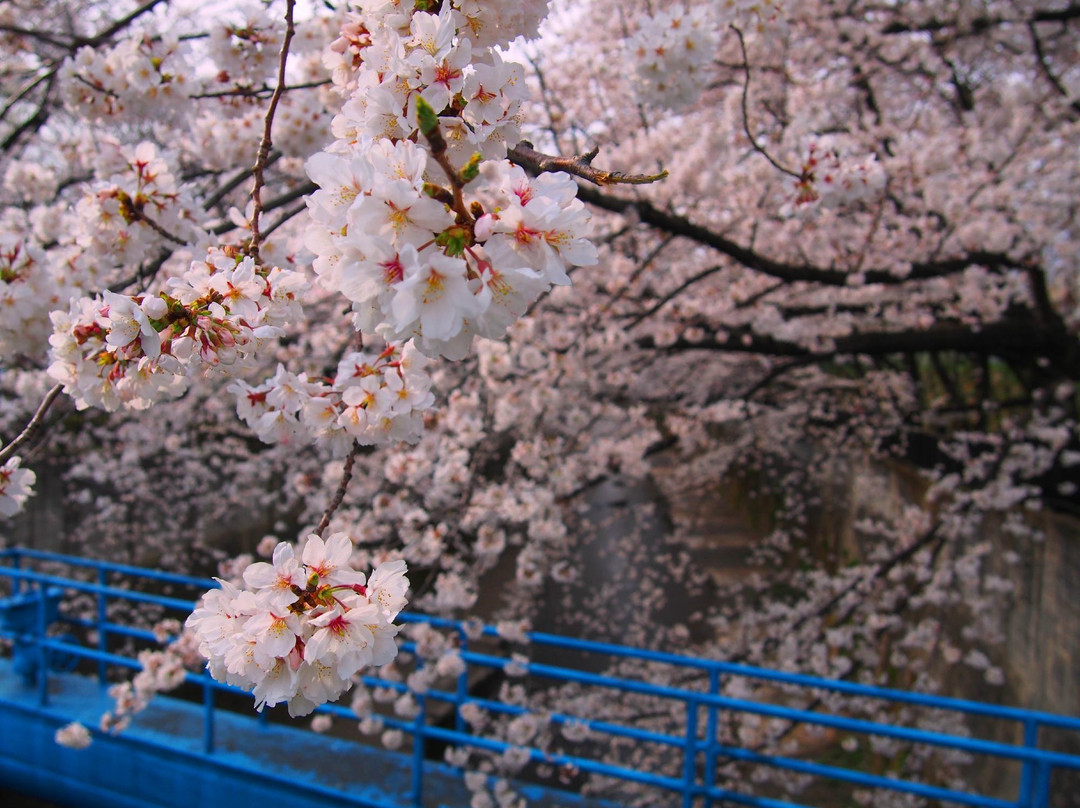 Otonashi Ryokuchi-北区必去景点