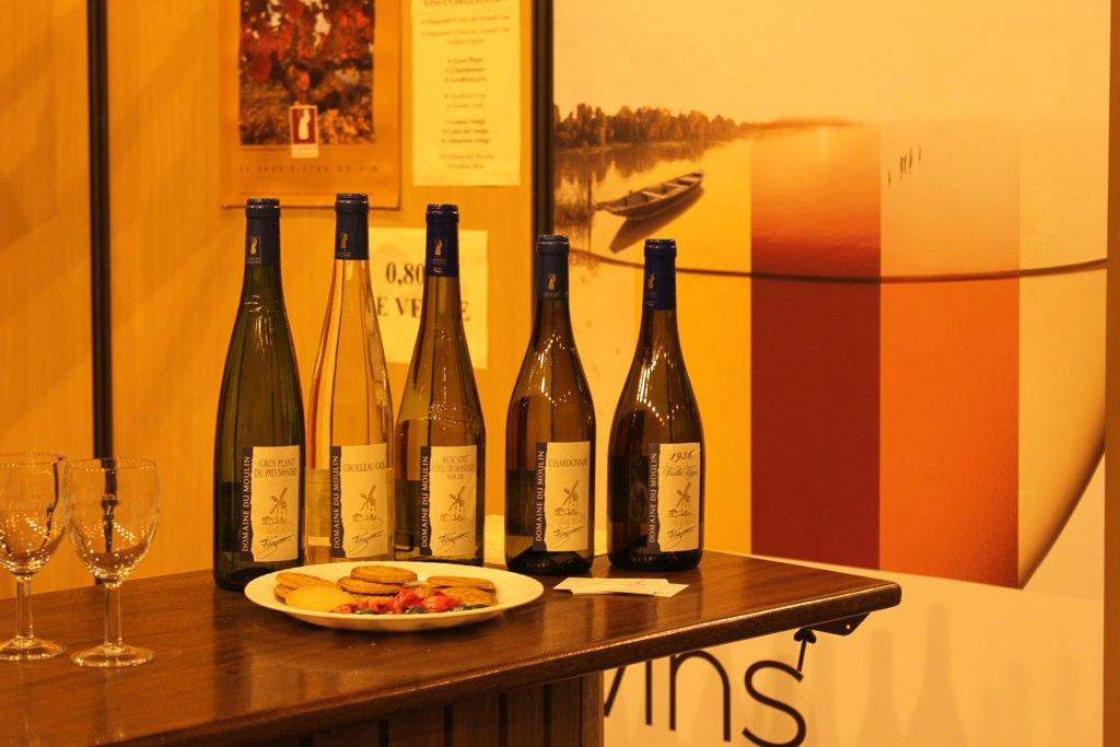 Domaine du Moulin景点图片