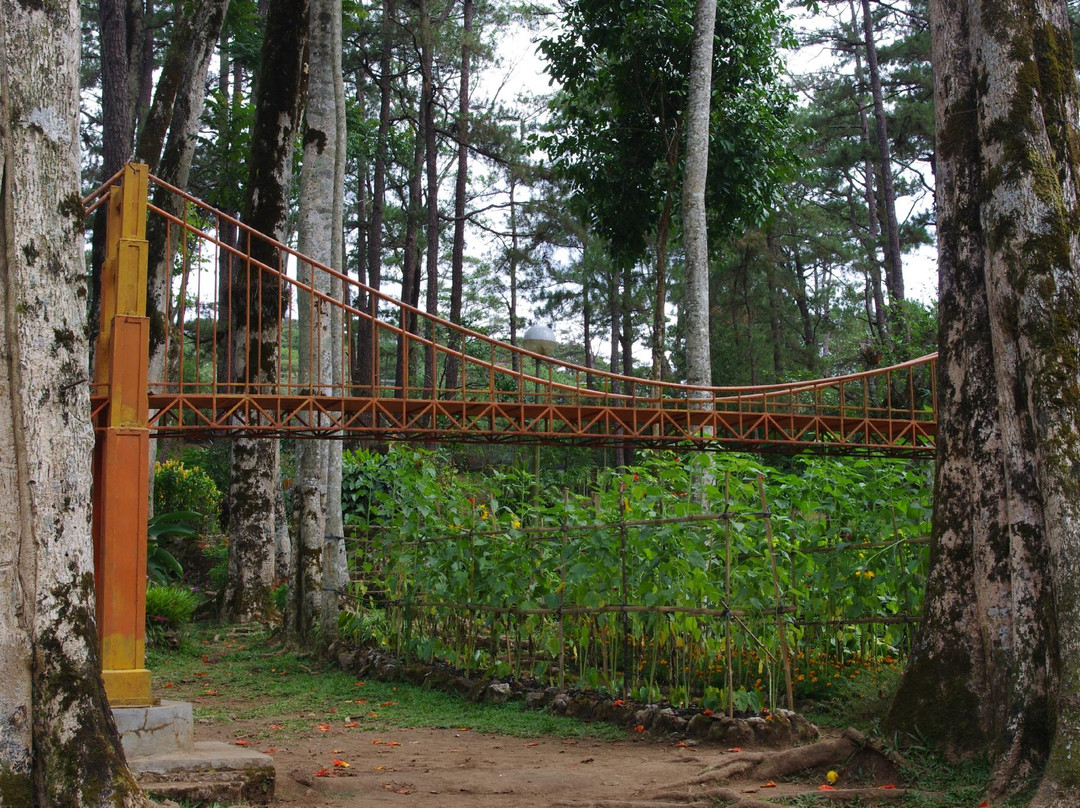 Baguio Botanical Garden景点图片