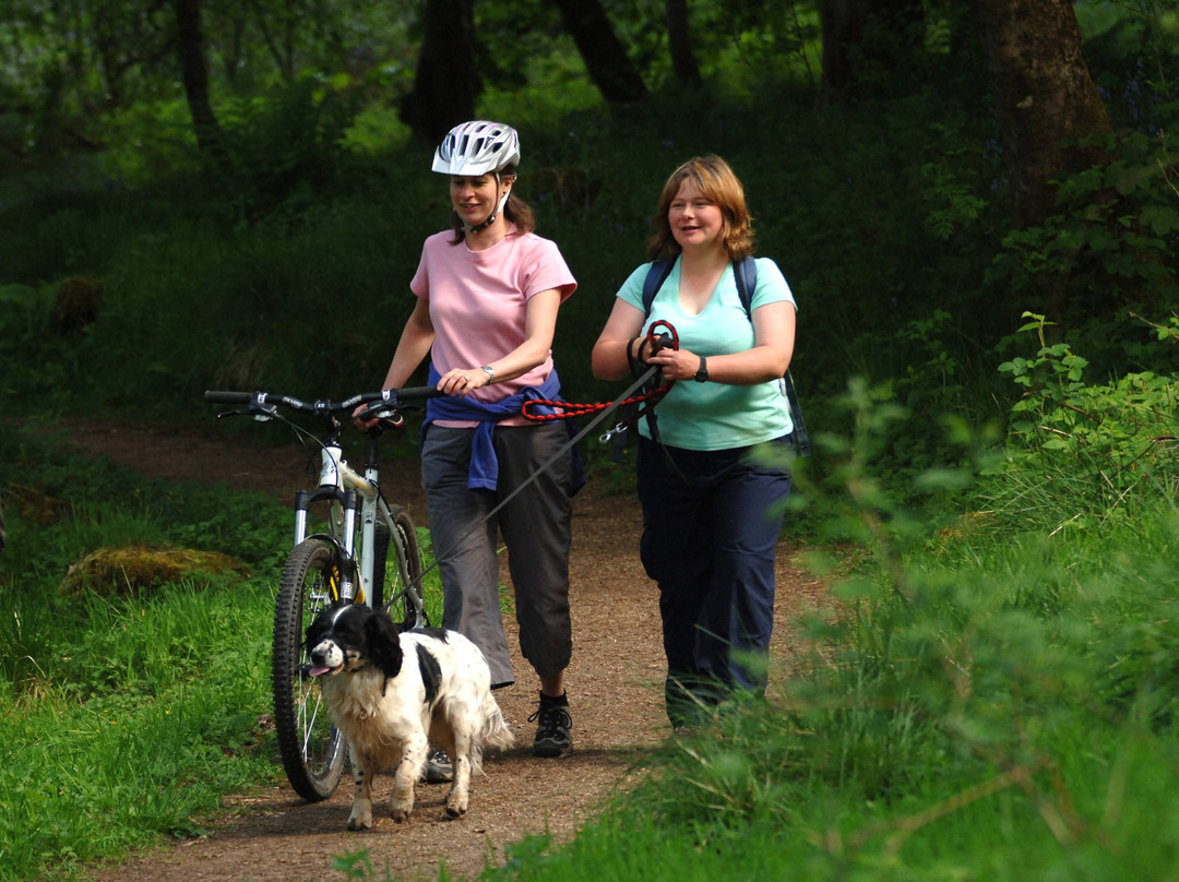 Clyde Muirshiel Regional Park景点图片